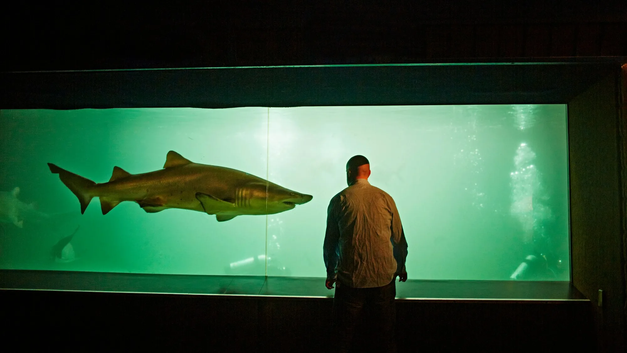 Man watching shark in aquarium